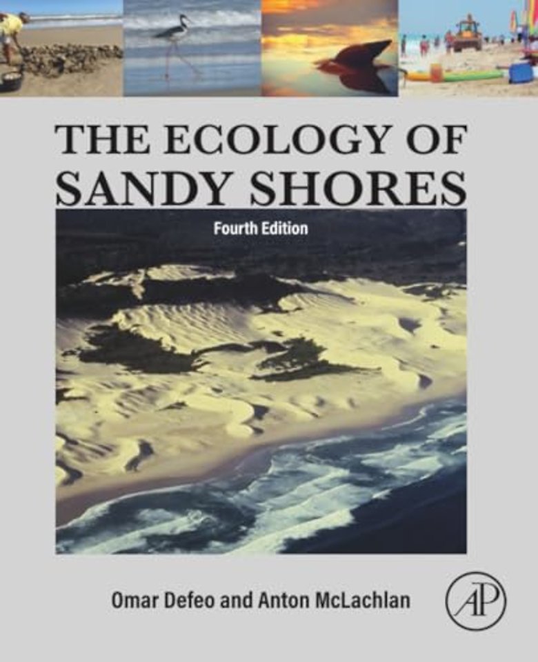 The Ecology of Sandy Shores