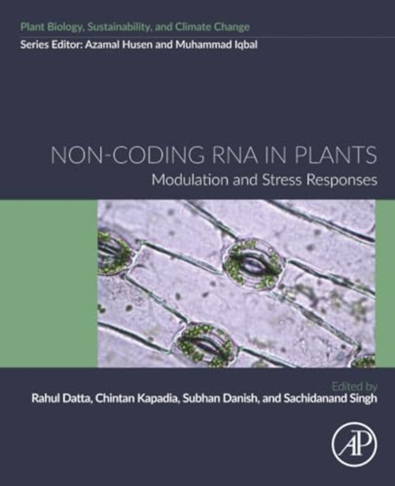 Non-coding RNA in Plants