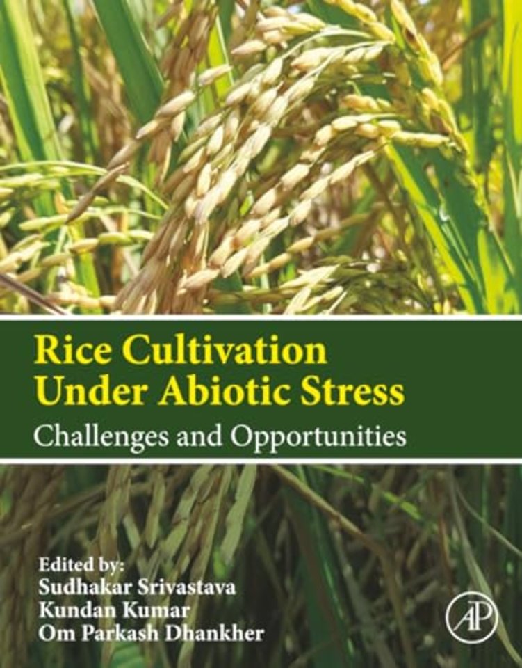 Rice Cultivation Under Abiotic Stress