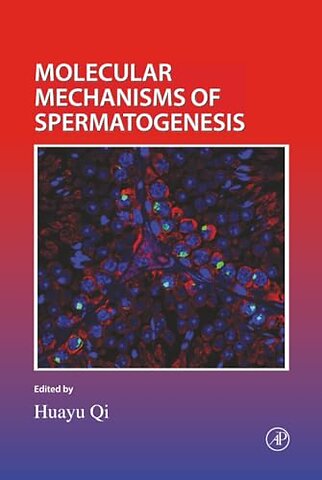 Molecular Mechanisms of Spermatogenesis
