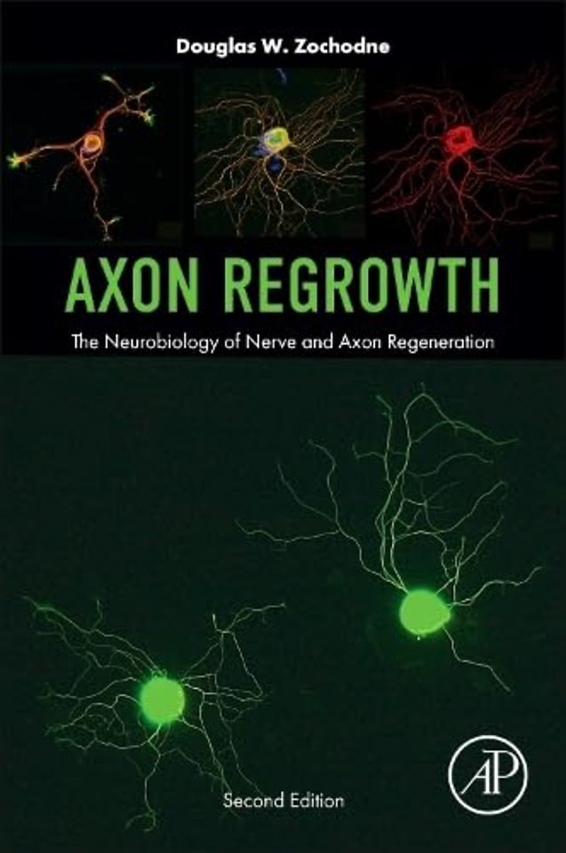 Axon Regrowth