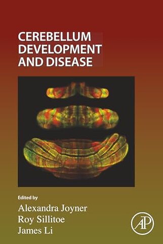 Cerebellum Development and Disease