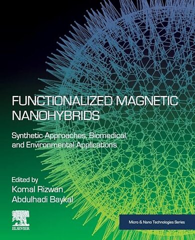Functionalized Magnetic Nanohybrids