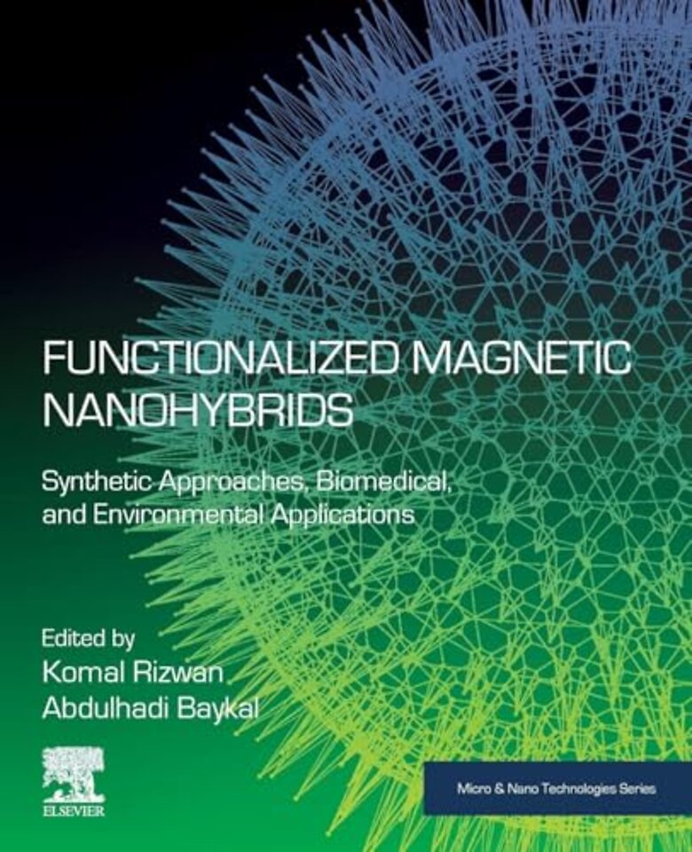 Functionalized Magnetic Nanohybrids