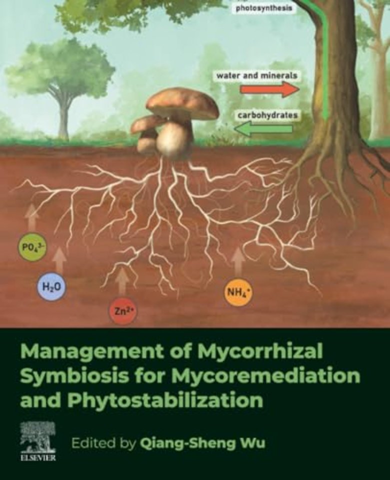 Management of Mycorrhizal Symbiosis for Mycoremediation and Phytostabilization
