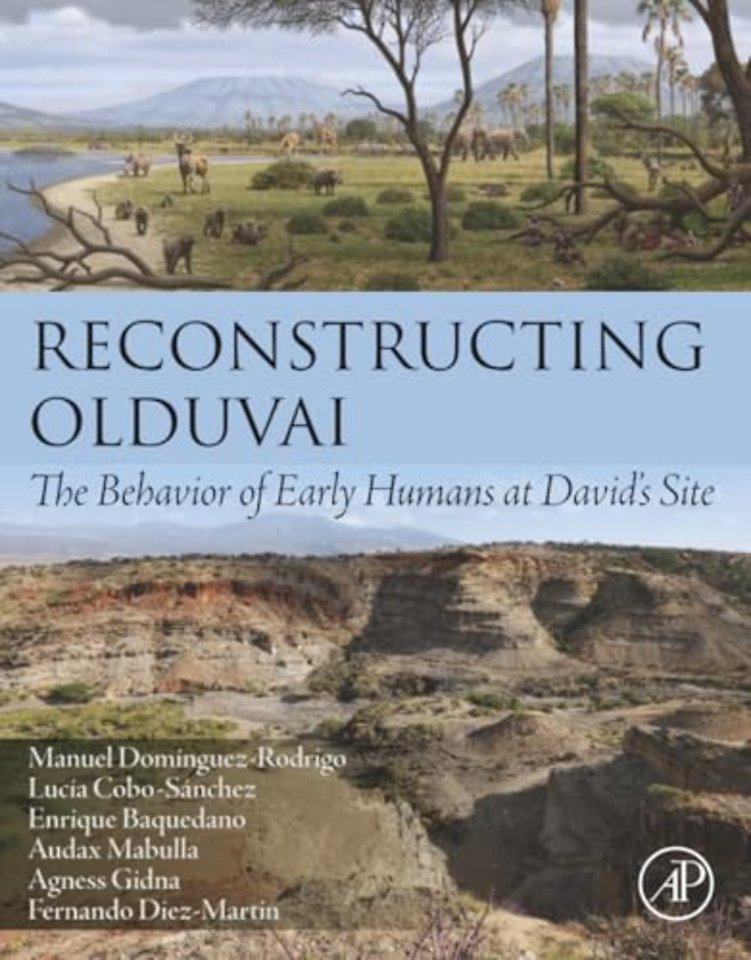 Reconstructing Olduvai