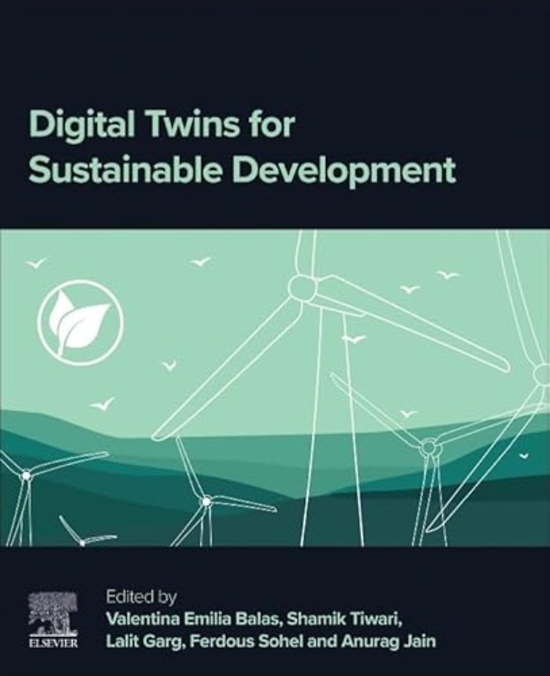 Digital Twins for Sustainable Development