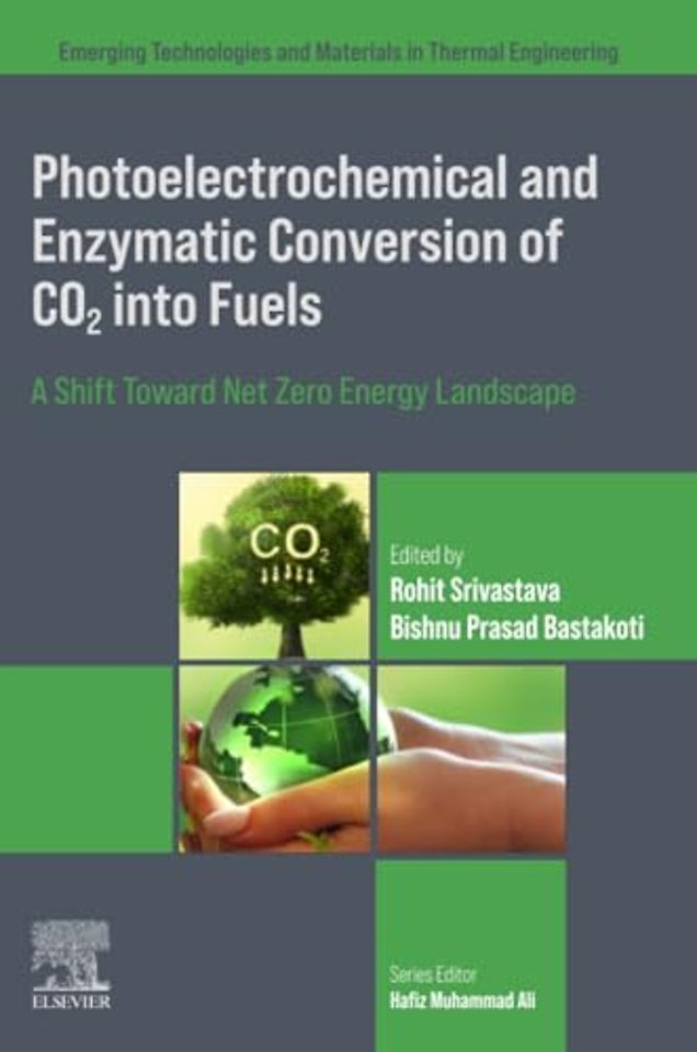 Photoelectrochemical and Enzymatic Conversion of CO2 into Fuels