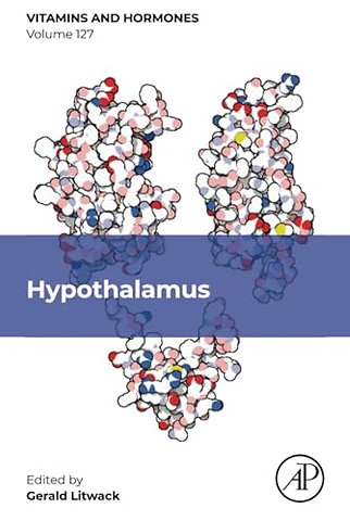 Hypothalamus