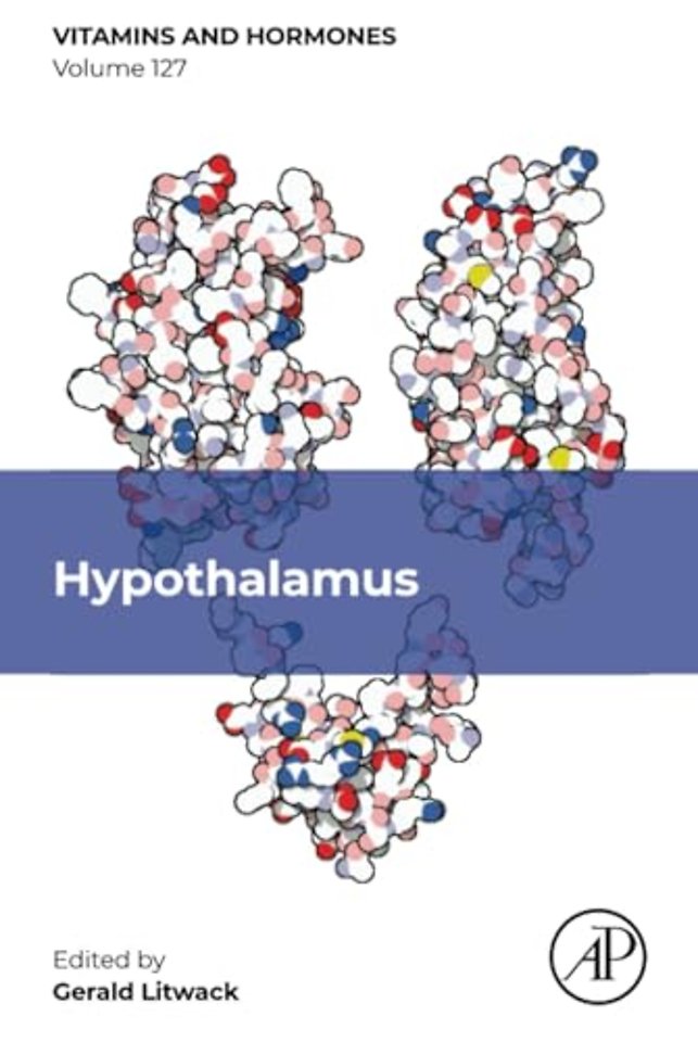 Hypothalamus