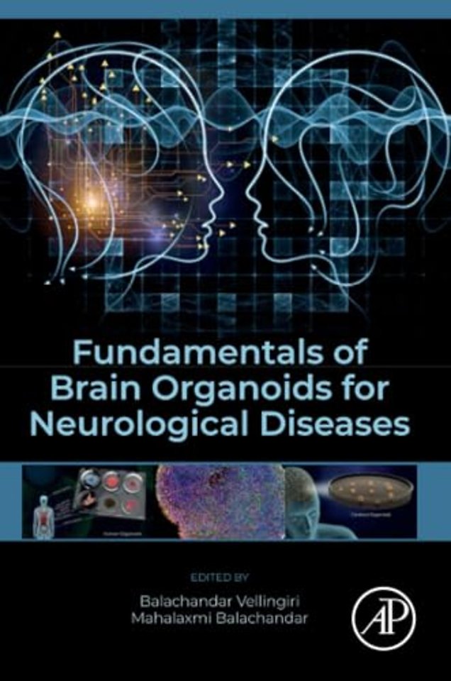 Fundamentals of Brain Organoids for Neurological Diseases