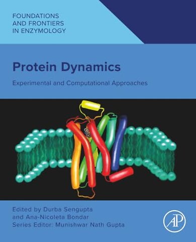 Protein Dynamics