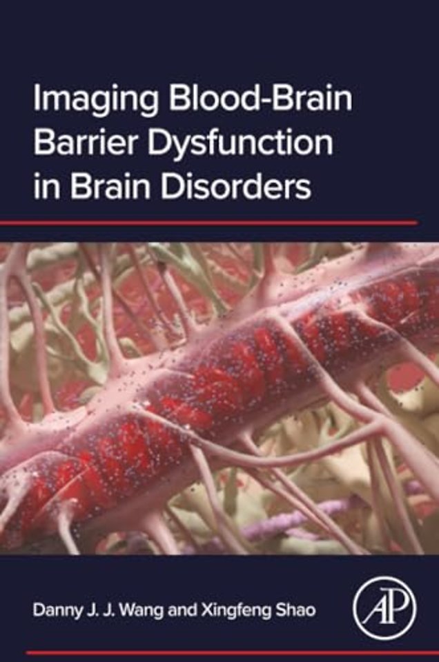 Imaging Blood-Brain Barrier Dysfunction in Brain Disorders