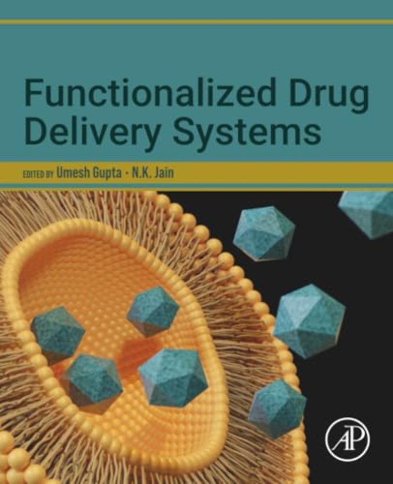 Functionalized Drug Delivery Systems
