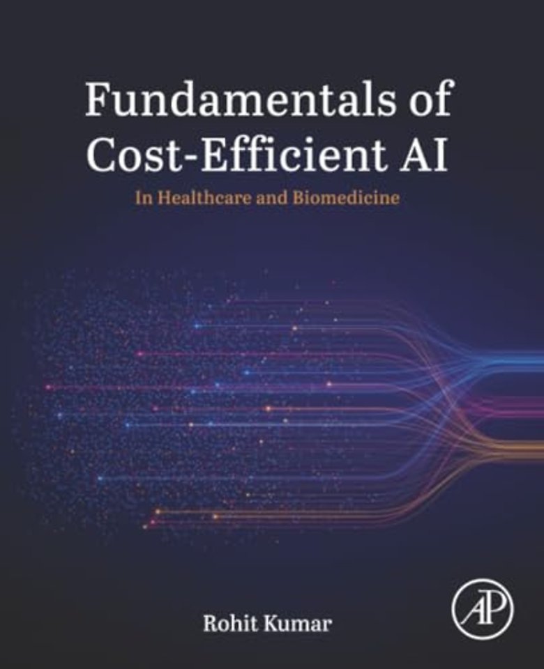 Fundamentals of Cost-Efficient AI