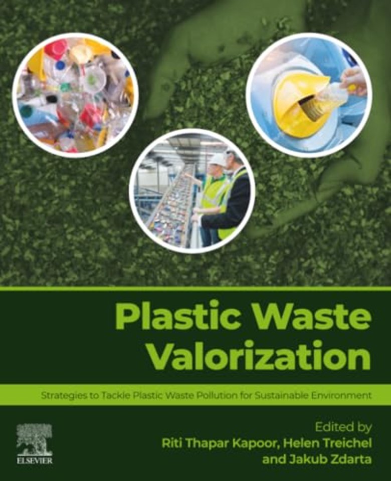 Plastic Waste Valorization
