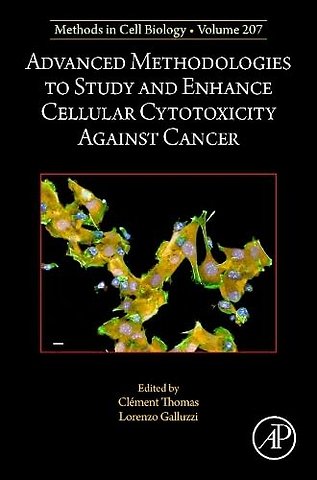 Advanced Methodologies to Study and Enhance Cellular Cytotoxicity Against Cancer
