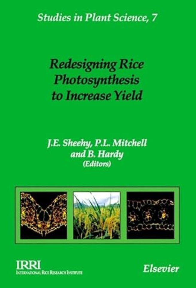 Redesigning Rice Photosynthesis to Increase Yield