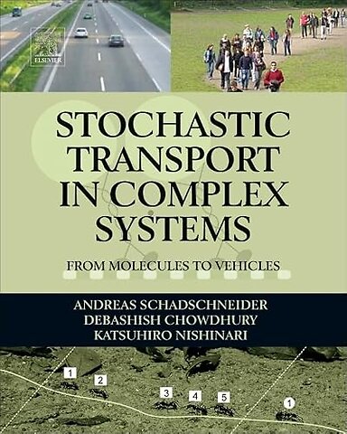 Stochastic Transport in Complex Systems