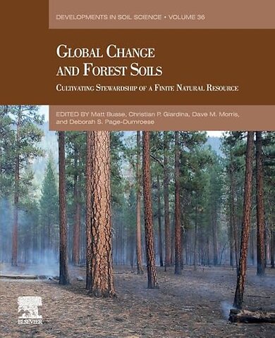 Global Change and Forest Soils