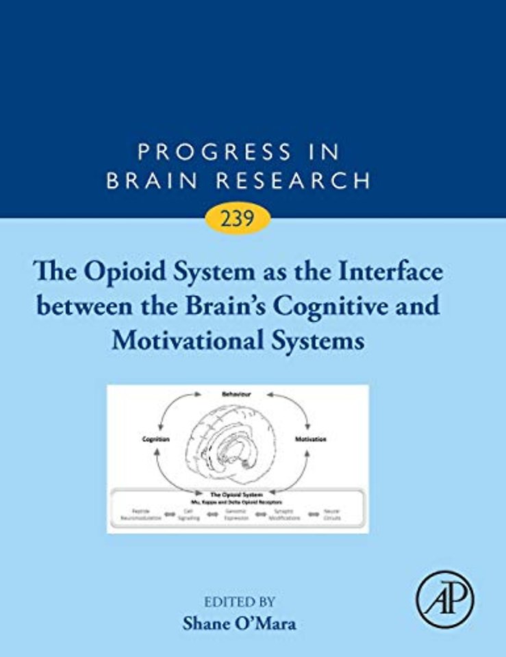 The Opioid System as the Interface between the Brain’s Cognitive and Motivational Systems