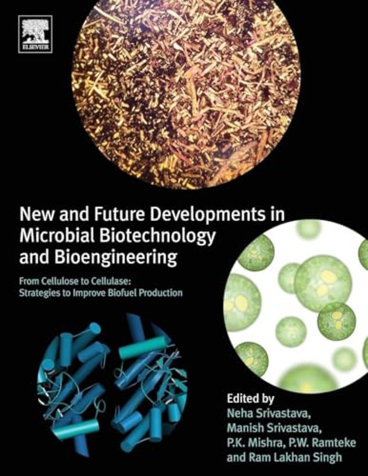New and Future Developments in Microbial Biotechnology and Bioengineering
