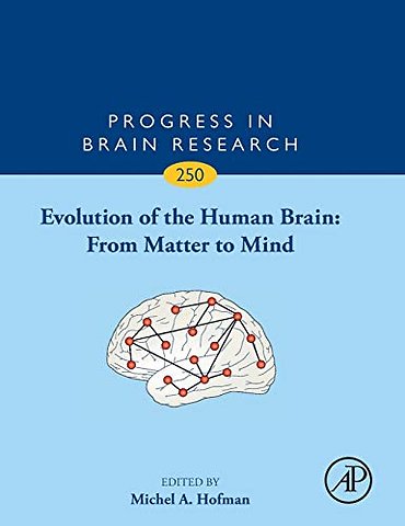 Evolution of the Human Brain: From Matter to Mind