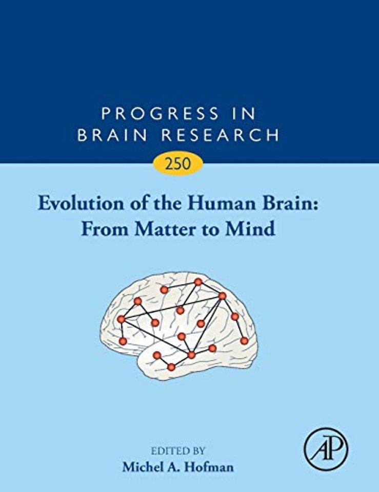 Evolution of the Human Brain: From Matter to Mind