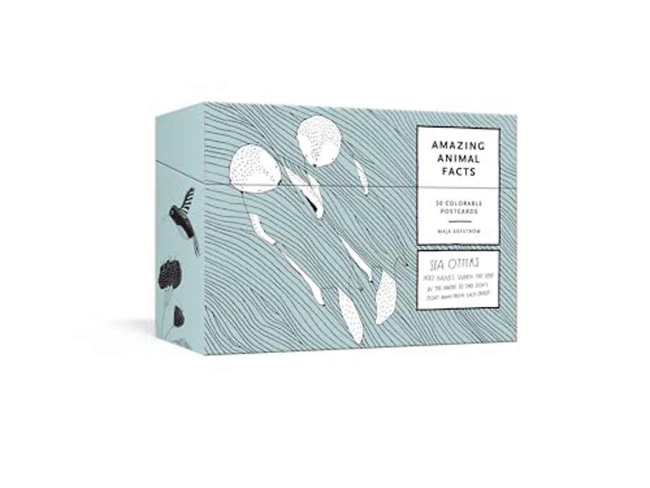Amazing Animal Facts Postcards