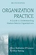 Organization Practice