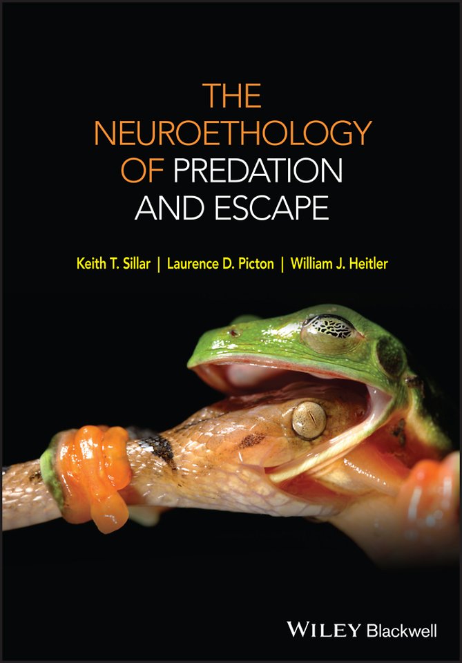 The Neuroethology of Predation and Escape