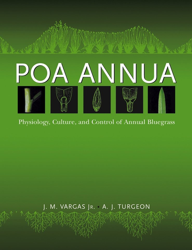 Poa Annua