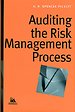 Auditing the risk management process