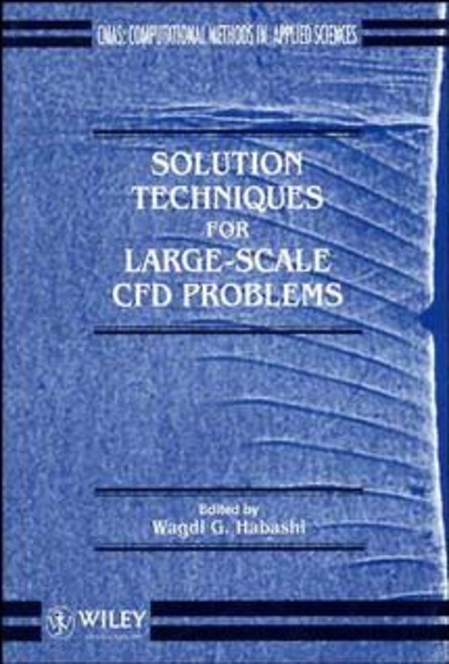 Solution Techniques for Large–Scale CFD Problems