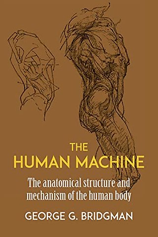 The Human Machine