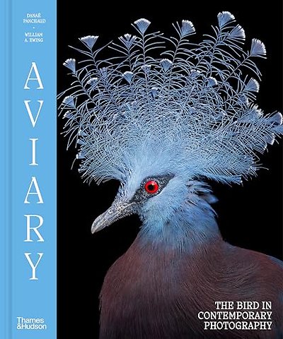 Aviary