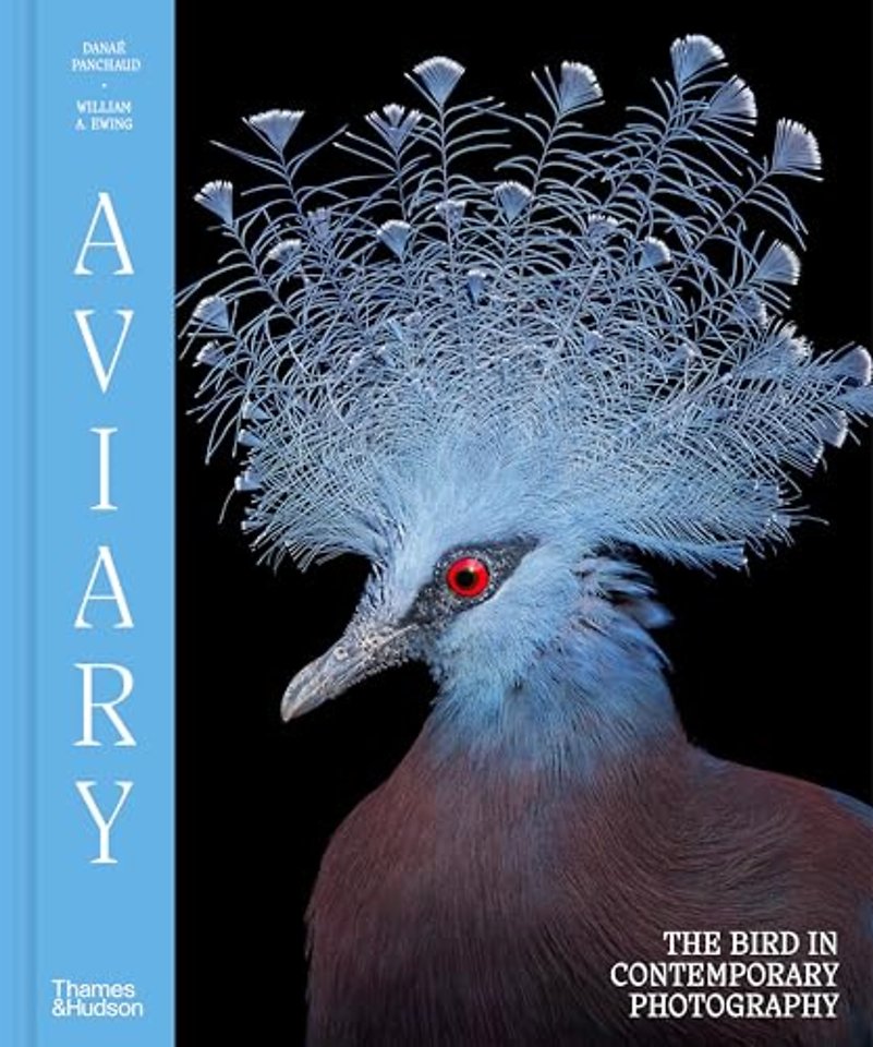 Aviary