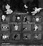 Asylum of the Birds Asylum of the Birds