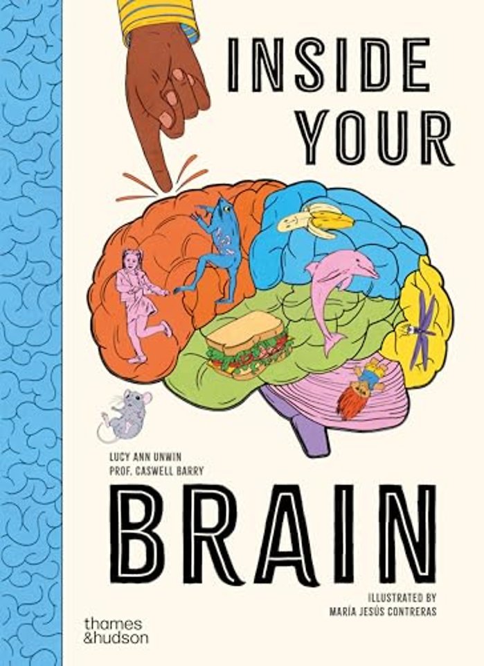 Inside Your Brain