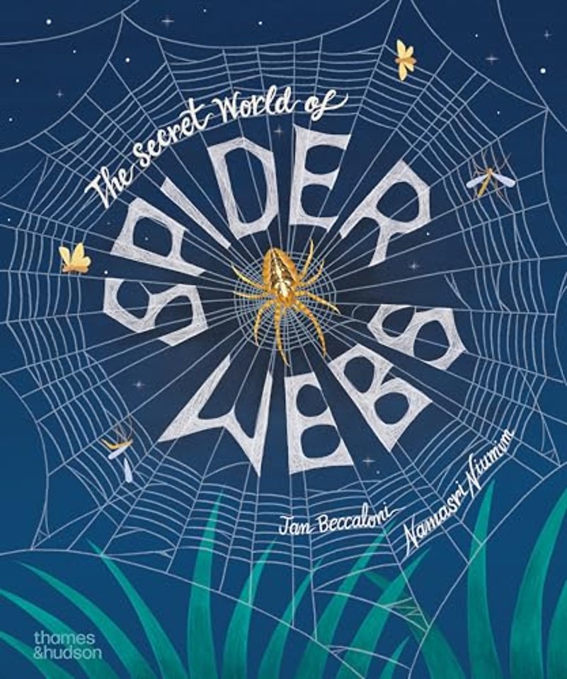 The Secret World of Spider Webs