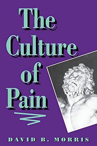 The Culture of Pain (Paper)