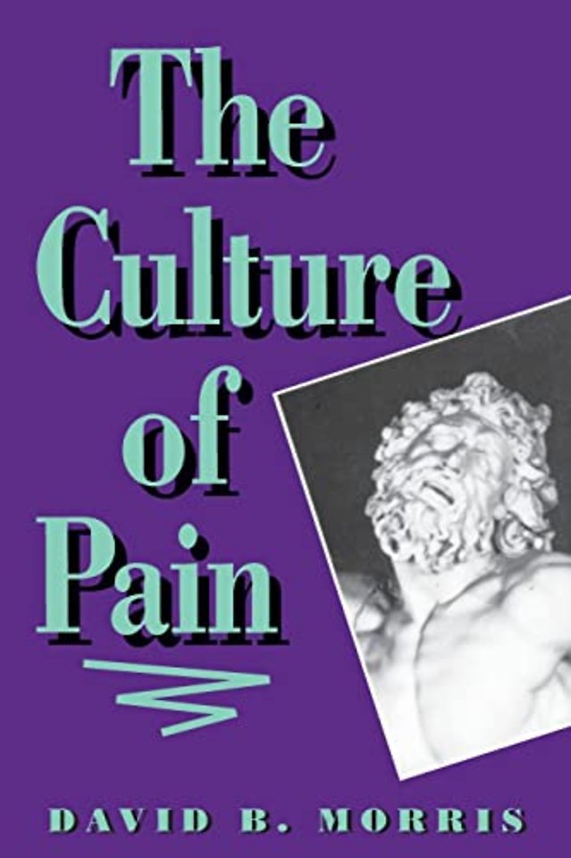 The Culture of Pain (Paper)