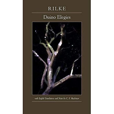 Duino Elegies