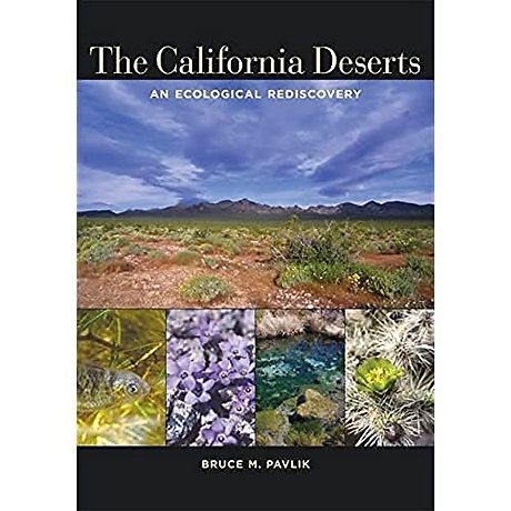 The California Deserts
