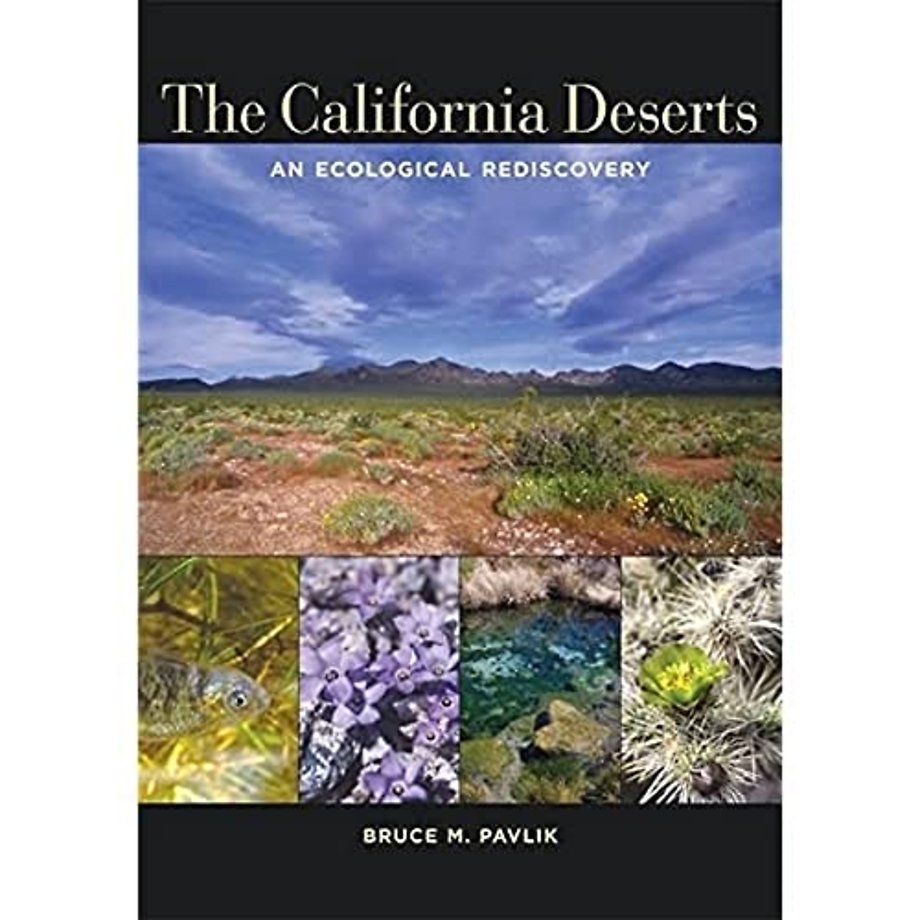 The California Deserts