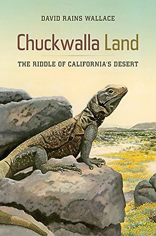 Chuckwalla Land – The Riddle of California′s Desert