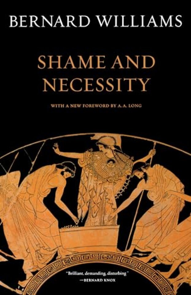 Shame and Necessity