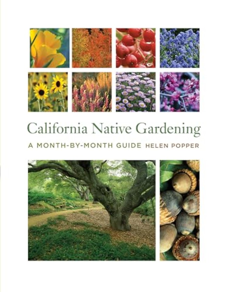 California Native Gardening – A Month–By–Month Guide