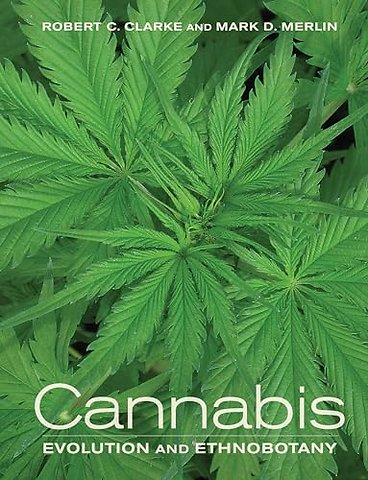 Cannabis