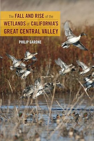 The Fall and Rise of the Wetlands of California`s Great Central Valley